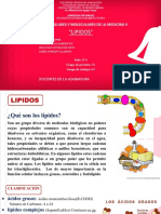 Trabajo Monografico - Lipidos