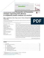 Nutraceutical-Based Therapeutics and Formulation Strategies Augmenting Their Efficiency To Complement Modern Medicine: An Overview