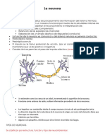 La Neurona y Sus Funciones