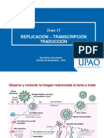 Sesión 13 - Replicación-Transcripción y Traducción