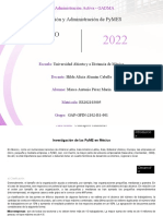 Investigación de Las PyME en México