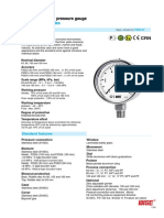 Model: P252 Series: Euro Gauge Industrial Service Pressure Gauge