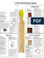 Pathogen (Poster Med Micro)