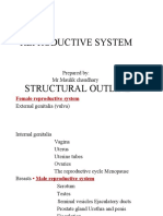 Female Reproductive Organ 28-Jan-2022