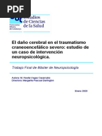 El Daño Cerebral en El Traumatismo Craneoencefalico Severo Estudio de Casos de Intervencion Neuropsicologica Master