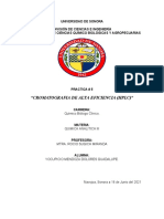 Practica 5 - Cromatofrafia de Alta Eficiencia