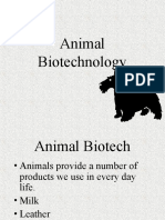 Animal Biotech