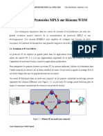 Chapitre 1 - Protocoles Mpls Sur WDM