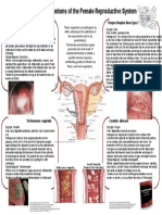 Pathogens of The Female Reproductive System - Leah Nechamkin