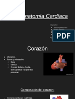 Anatomía Cardiaca