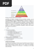 Pirámide de Maslow