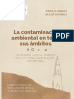 La Contaminación Ambiental