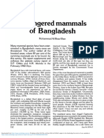 Endangered Mammals of Bangladesh