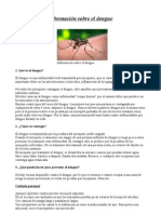 Información Sobre El Dengue