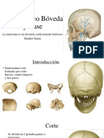 Neurocraneo Boveda y Base Hamlet CLASE SIUUuuu