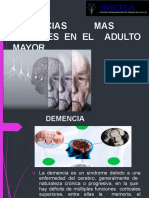 Demencia en El Adulto Mayor