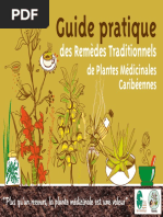 Guide Pratique Remedes Traditionnels