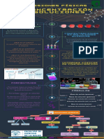 Infografía Química