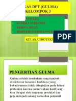 Tugas DPT (Gulma) Kelompok 3