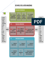Mapa de Procesos de La DRE Amazonas - NIVEL 0