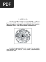 Apostila Iridologia