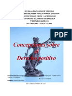 Concepcion de Derecho Positivo