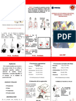 TRIPTICO Primeros Auxilios