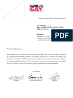 Amicus Curiae Daniel Antonio Sastoque Coronado - Corte Constitucional de Colombia