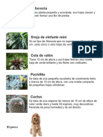 Plantas y Animales Con Descripcion