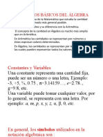 Conceptos Básicos Del Álgebra