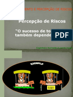 Aula Sobre Percepção de Risco 2