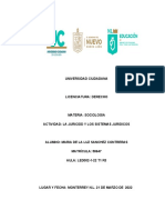 La Juricidad y Los Sistemas Juridicos - Maria de La Luz Sanchez Contreras