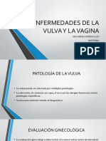 Enfermedades de La Vulva y La Vagina