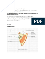 Exposé Sur Omoplate