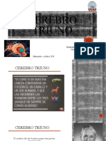 Cerebro Triuno