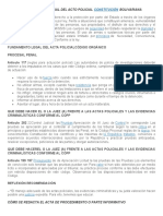 Fundamento Constitucional Del Acto Policial