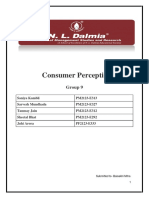 Group 9 Consumer Perception Report