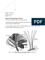 PINUS For Students