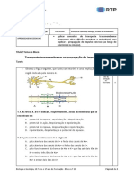 29 - Biologia e Geologia - 10º Ano - Transporte Transmembranar Na Propagação Do Impulso Nervoso