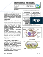 CITOLOGÍA I y II CLAVES