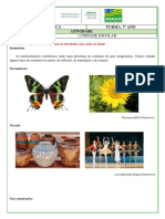 7º MAT - Transformações Geometricas