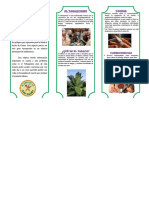 PDF Triptico Del Tabaquismodocx - Compress