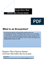 Human Activities That Affect The Ecosystem