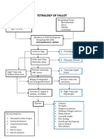 Concept Map Tetralogy of Fallot