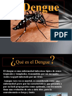 Dengue Expo