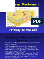 Plasma Membrane Structure and Function