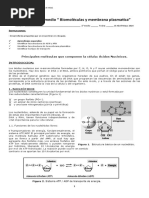 Biomoleculas 2