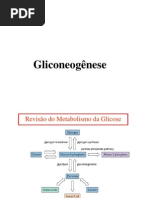 Gliconeogenese