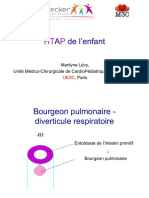 M Levy DIU HTP Pneumo Descartes 2017