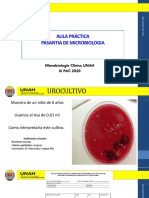 AULA PRACTICA de Pasantia Microbiologia Nov